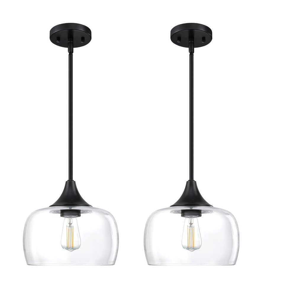 Glass Globe Pendant Ceiling Light Set Black